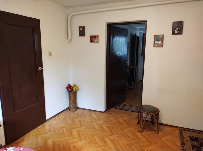 Hotel dla psów TULUNIA