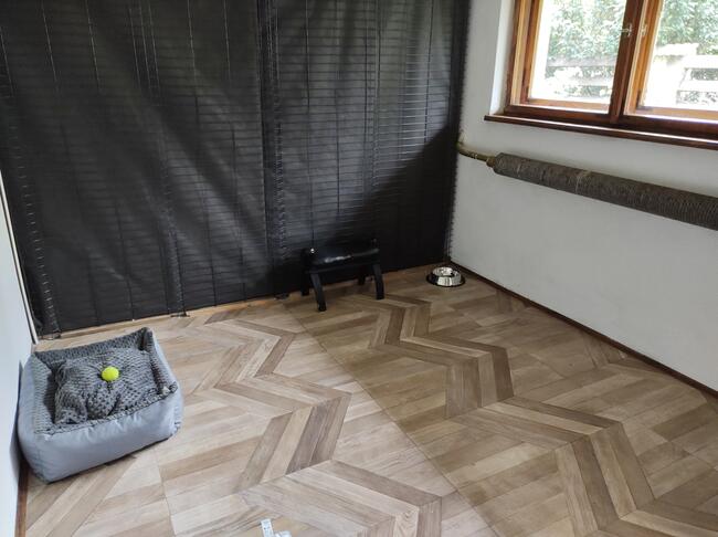 Hotel dla psów TULUNIA