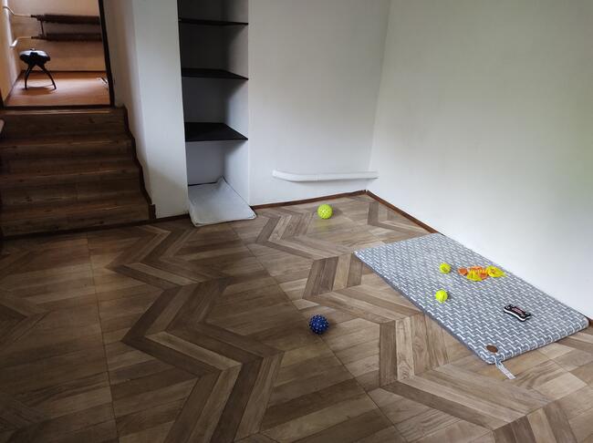 Hotel dla psów TULUNIA