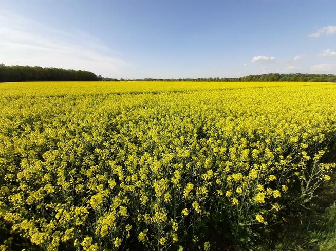 Dla aktywnej, szczupłej - sportowo i interesująco