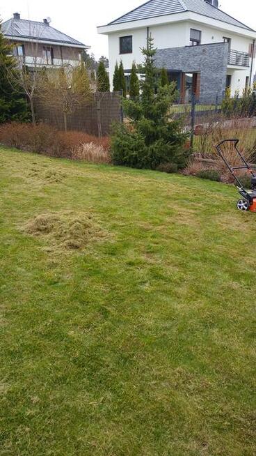 Wertykulacja Trawników Kielce Serwis koszenie Trawników