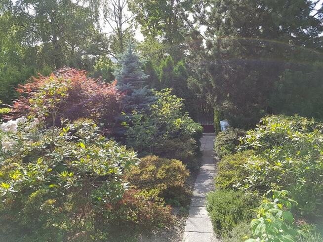 Działka ROD Rakowiec (z domkiem): Pola Mokotowskie 100m