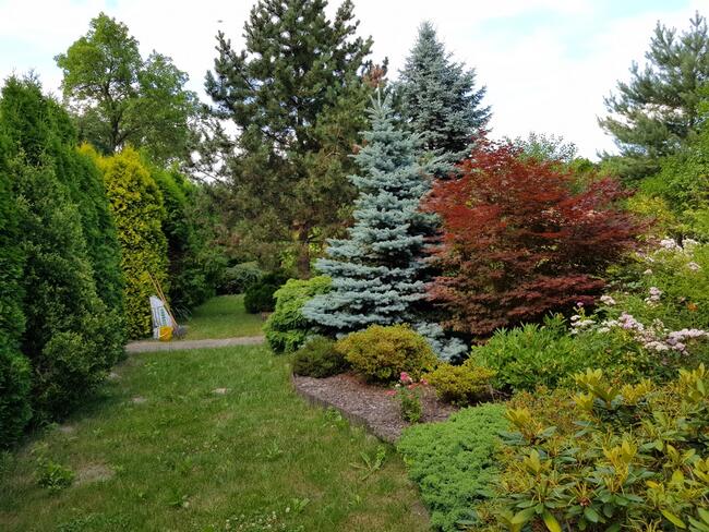 Działka ROD Rakowiec (z domkiem): Pola Mokotowskie 100m