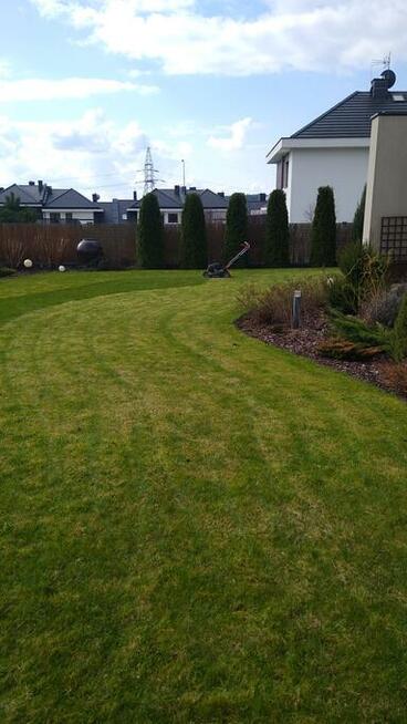 Wertykulacja Trawników Kielce Serwis koszenie Trawników