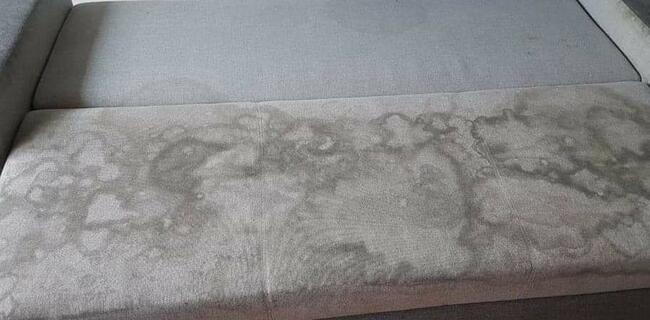 Wynajmę odkurzacz piorący Karcher+proszek piorący GRATIS