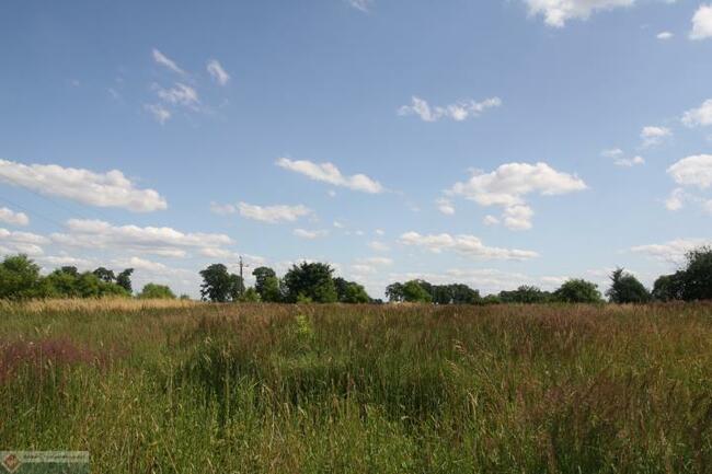Działka rolno-budowlana Parsów gm. Bielice