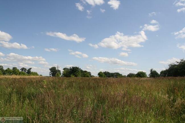 Działka rolno-budowlana Parsów gm. Bielice
