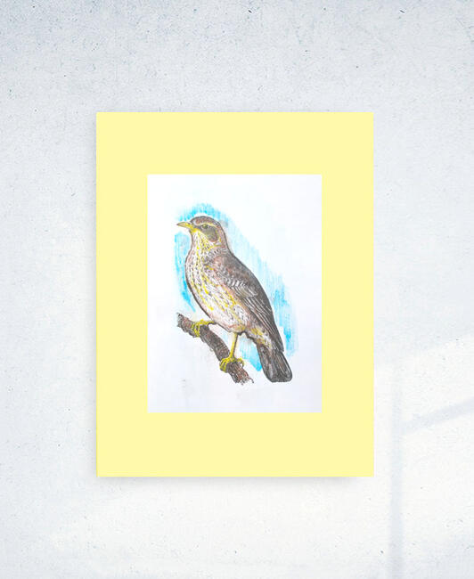 ptaszek plakat A3