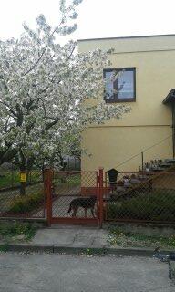 Sprzedam lub zamienię dom, Słupca