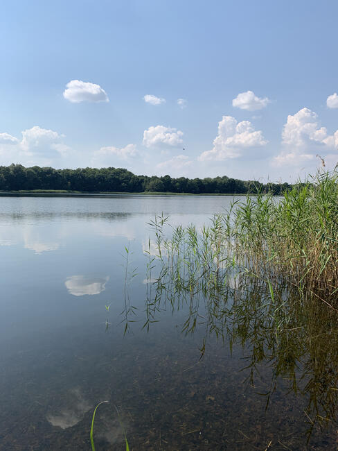 Sprzedam działki nad jeziorem