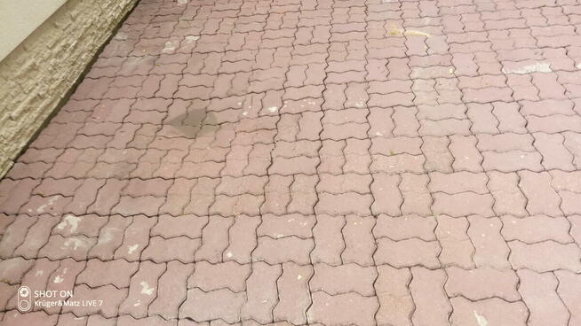 Czyszczenie elewacji mycie kostki brukowej