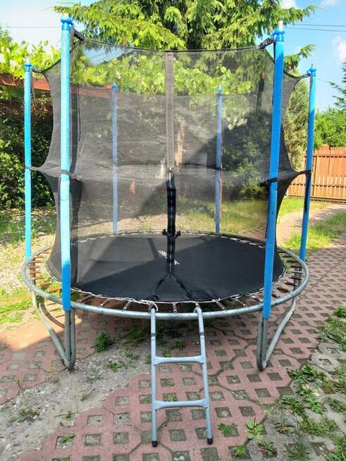 Trampolina 245 cm Siesta Design z siatką ochronną.
