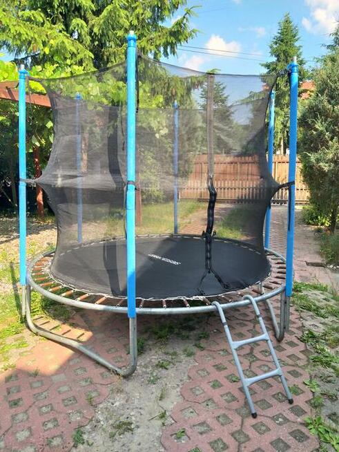 Trampolina 245 cm Siesta Design z siatką ochronną.