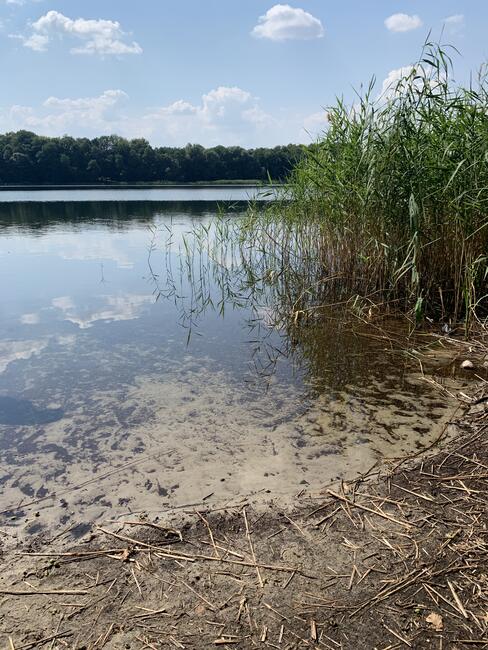 Sprzedam działki nad jeziorem