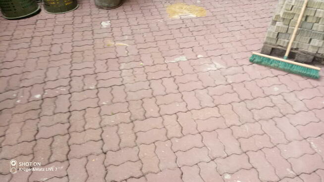 Czyszczenie elewacji mycie kostki brukowej