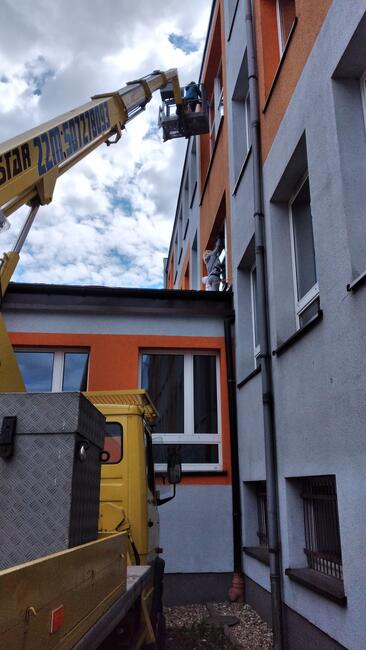 Wynajem zwyzki Poręba 507278093