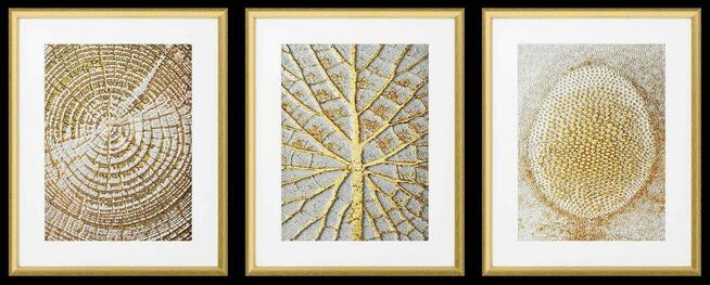 Złote Wzory Natury, Plakaty Ze Złotem