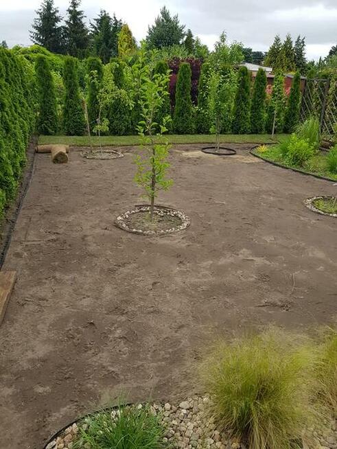 Zakładanie trawników trawnik z rolki siewu trawa