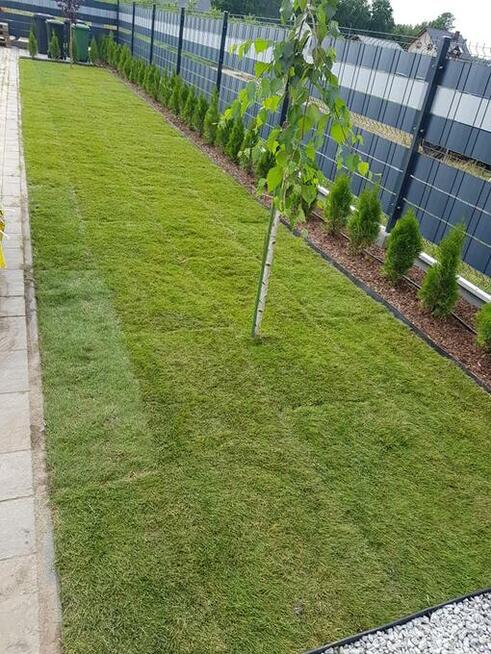 Zakładanie trawników trawnik z rolki siewu trawa