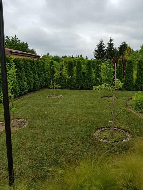 Zakładanie trawników trawnik z rolki siewu trawa