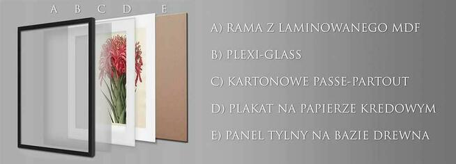 Złote Wzory Natury, Plakaty Ze Złotem