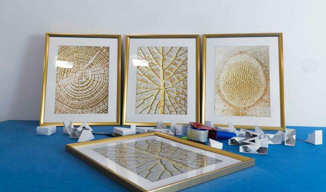 Złote Wzory Natury, Plakaty Ze Złotem