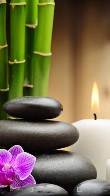 Masaż całego ciała. Studio Masażu Fenix