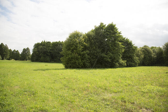 Unikatowe miejsce! Warunki zabudowy