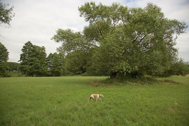 Unikatowe miejsce! Warunki zabudowy