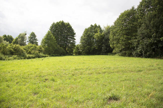 Unikatowe miejsce! Warunki zabudowy