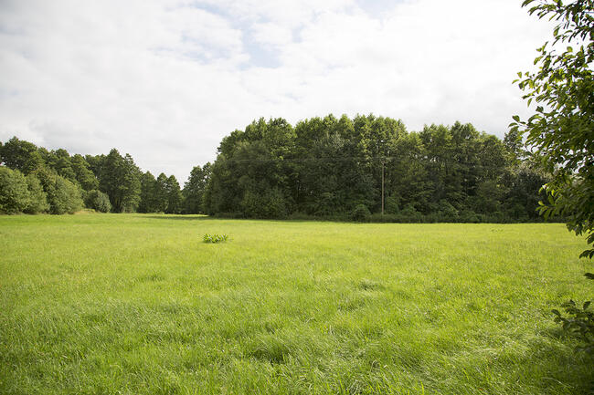 Unikatowe miejsce! Warunki zabudowy