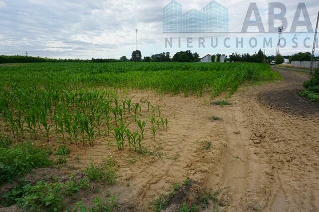 Sompolno- działka pod inwestycję ul. Warszawska