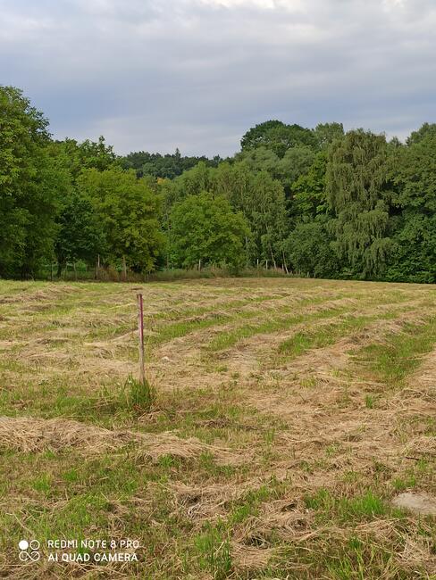 DZIALKI NA SPRZEDAŻ.