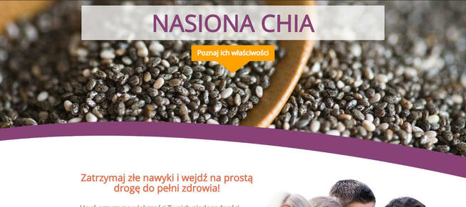 Strony internetowe - Budowa i pełna obsługa