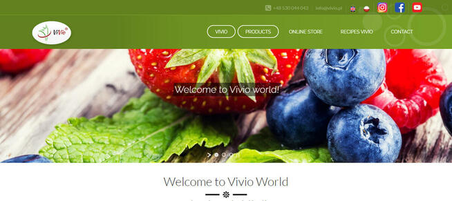 Strony internetowe - Budowa i pełna obsługa