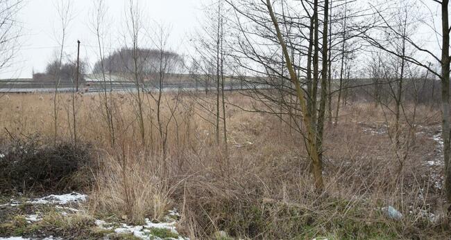 Bodzanów--30 arów -przy drodze -gminnej - pod usługi-hale, m