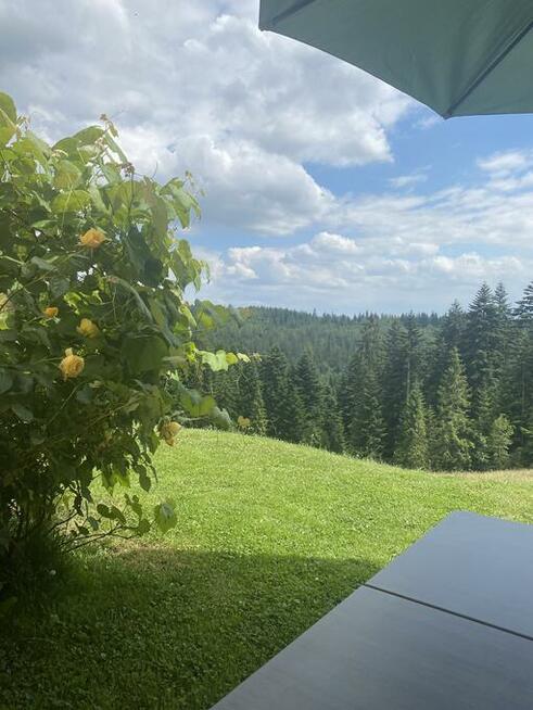 Apartament w górach Gorce Podhale Pieniny Tatry BON