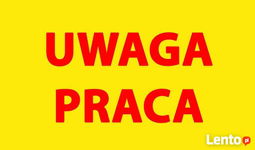 Elektryk - UMOWA O PRACĘ - od zaraz!