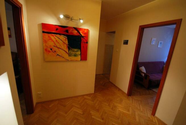 Pokój do wynajęcia.