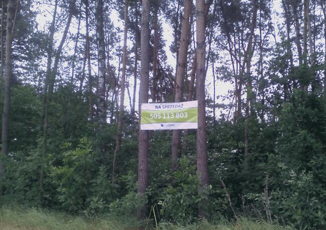 Działka w Tuszynie koło Łodzi