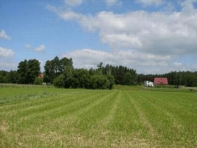 Działka w Tuszynie koło Łodzi