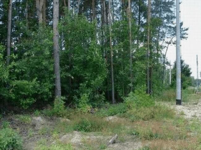 Działka w Tuszynie koło Łodzi