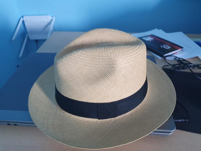 Kapelusze Panama Hat