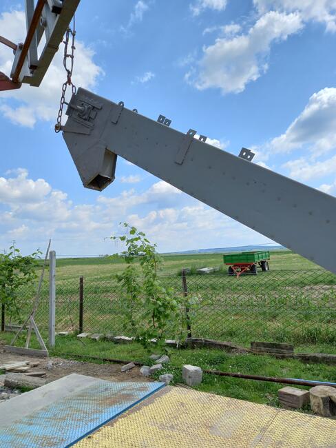 Żmijka - podajnik łańcuchowy do zboża