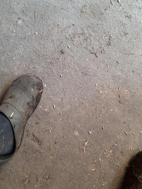 Która chce chłopaka ze wsi ;)