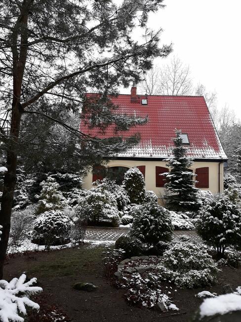 Dom na wsi blisko lasu - SPRZEDAŻ WSTRZYMANA !!!