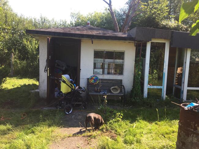 Działka rekreacyjna na sprzedaż, Ogródki Działkowe w Elblągu