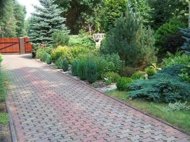 Dom na wsi blisko lasu - SPRZEDAŻ WSTRZYMANA !!!