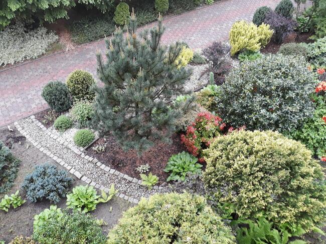 Dom na wsi blisko lasu - SPRZEDAŻ WSTRZYMANA !!!