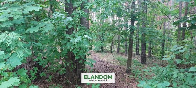 Działka 1900 m2 na poczekanie